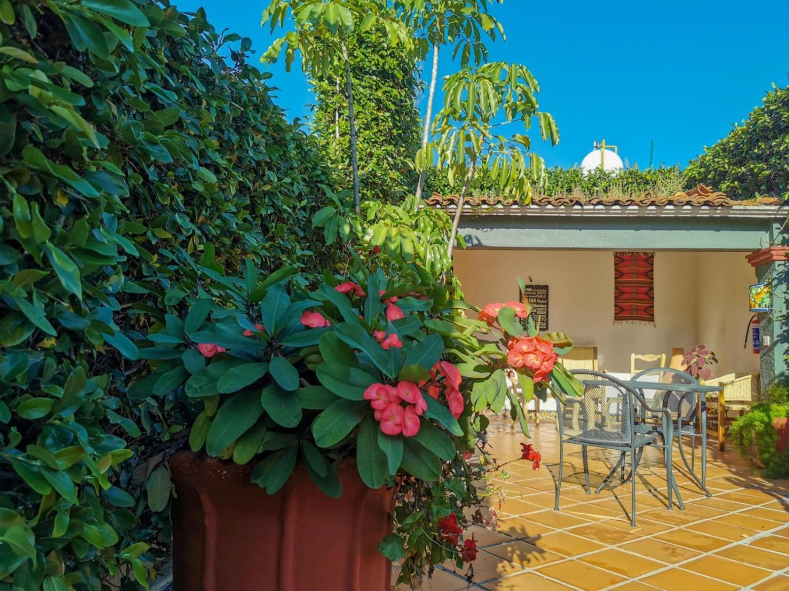 Hotel Casa Guiva オアハカ州 エクステリア 写真