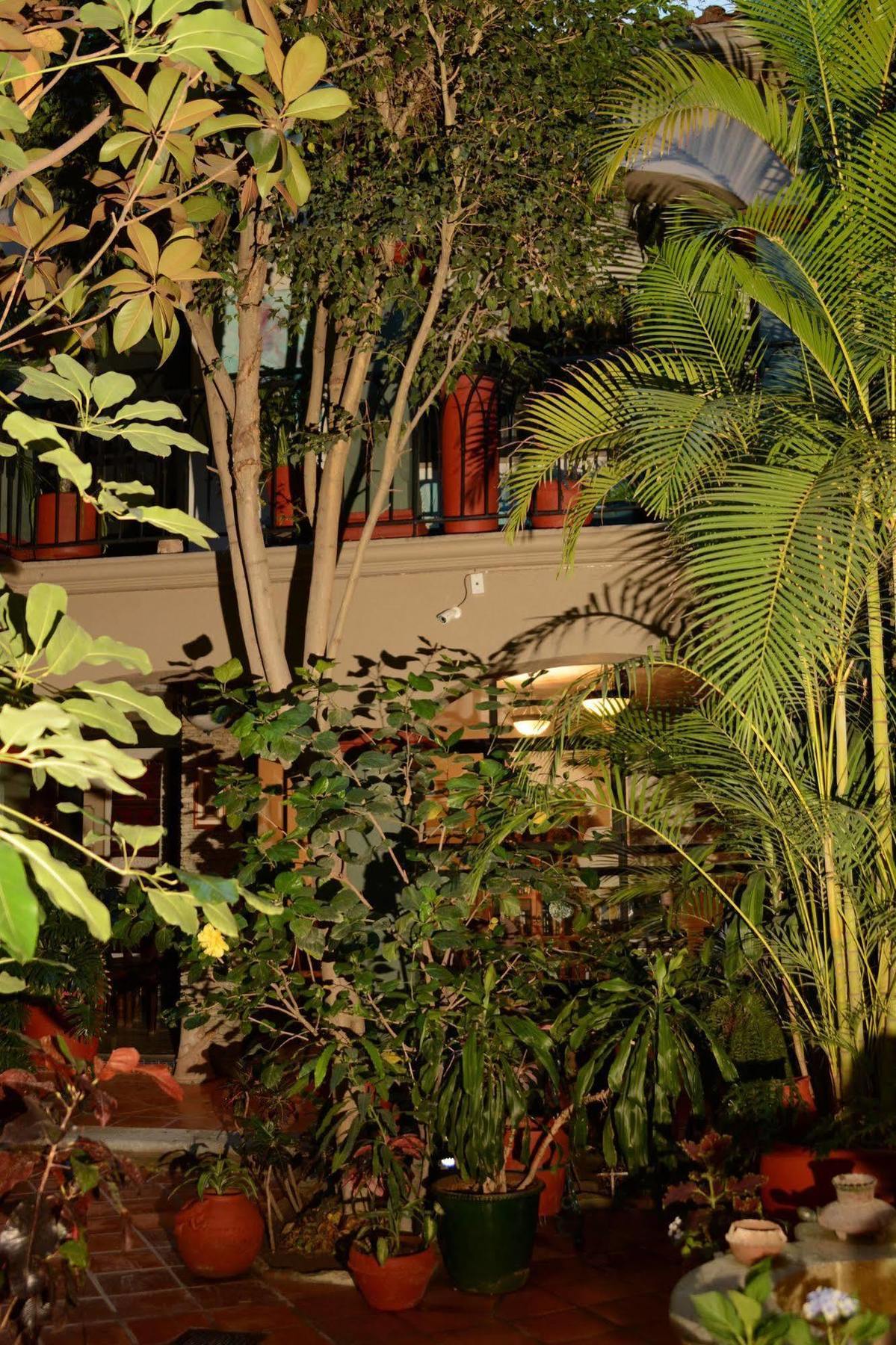 Hotel Casa Guiva オアハカ州 エクステリア 写真